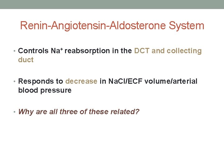 Renin-Angiotensin-Aldosterone System • Controls Na+ reabsorption in the DCT and collecting duct • Responds
