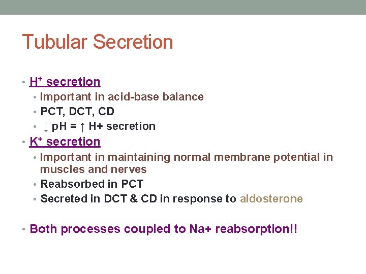 Tubular Secretion • H+ secretion • Important in acid-base balance • PCT, DCT, CD