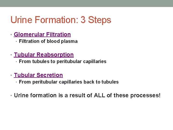 Urine Formation: 3 Steps • Glomerular Filtration • Filtration of blood plasma • Tubular