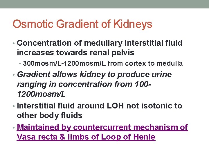 Osmotic Gradient of Kidneys • Concentration of medullary interstitial fluid increases towards renal pelvis