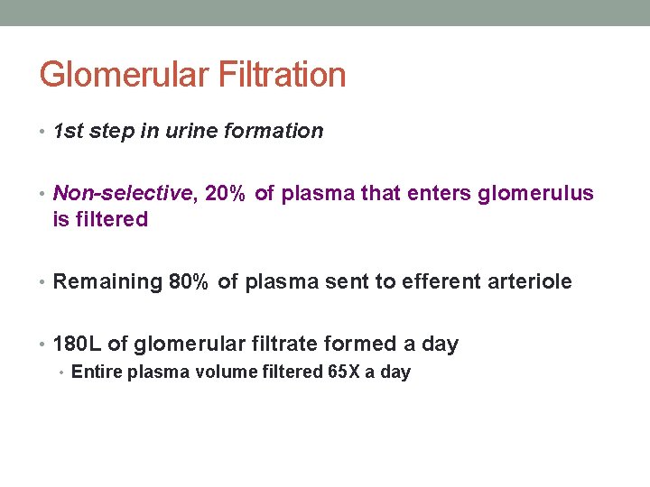 Glomerular Filtration • 1 st step in urine formation • Non-selective, 20% of plasma