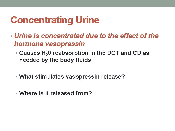 Concentrating Urine • Urine is concentrated due to the effect of the hormone vasopressin