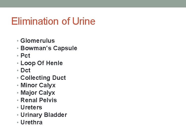 Elimination of Urine • • • Glomerulus Bowman’s Capsule Pct Loop Of Henle Dct