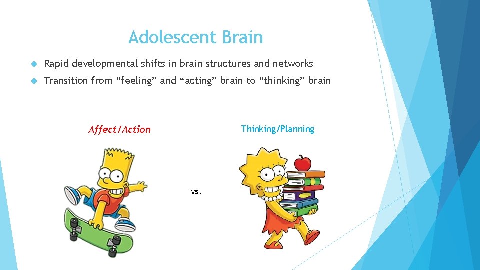 Adolescent Brain Rapid developmental shifts in brain structures and networks Transition from “feeling” and