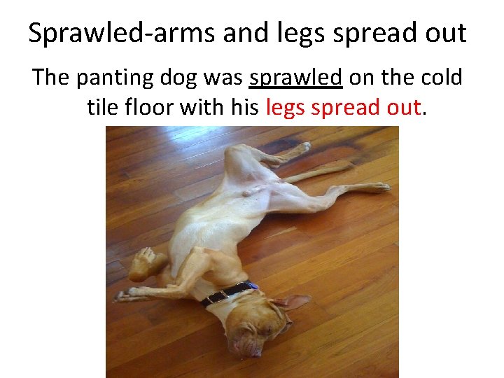 Sprawled-arms and legs spread out The panting dog was sprawled on the cold tile