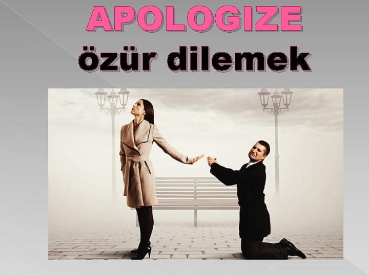 APOLOGIZE özür dilemek 