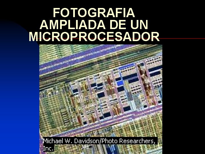 FOTOGRAFIA AMPLIADA DE UN MICROPROCESADOR 