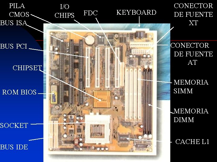 PILA CMOS BUS ISA BUS PCI CHIPSET ROM BIOS SOCKET BUS IDE I/O CHIPS