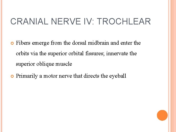 CRANIAL NERVE IV: TROCHLEAR Fibers emerge from the dorsal midbrain and enter the orbits