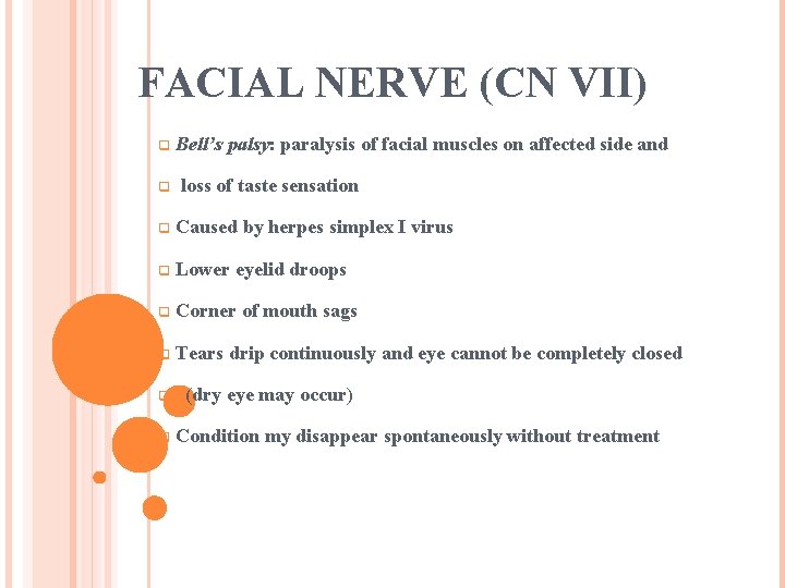 FACIAL NERVE (CN VII) q q Bell’s palsy: paralysis of facial muscles on affected