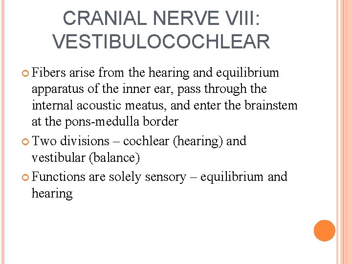 CRANIAL NERVE VIII: VESTIBULOCOCHLEAR Fibers arise from the hearing and equilibrium apparatus of the