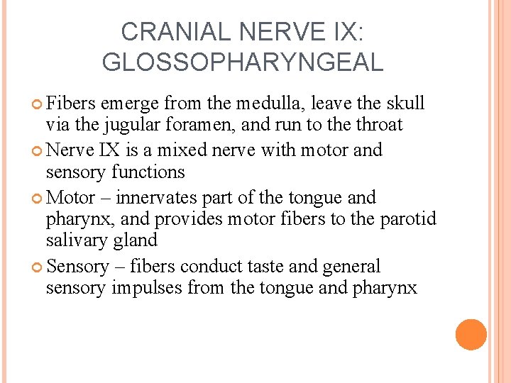 CRANIAL NERVE IX: GLOSSOPHARYNGEAL Fibers emerge from the medulla, leave the skull via the