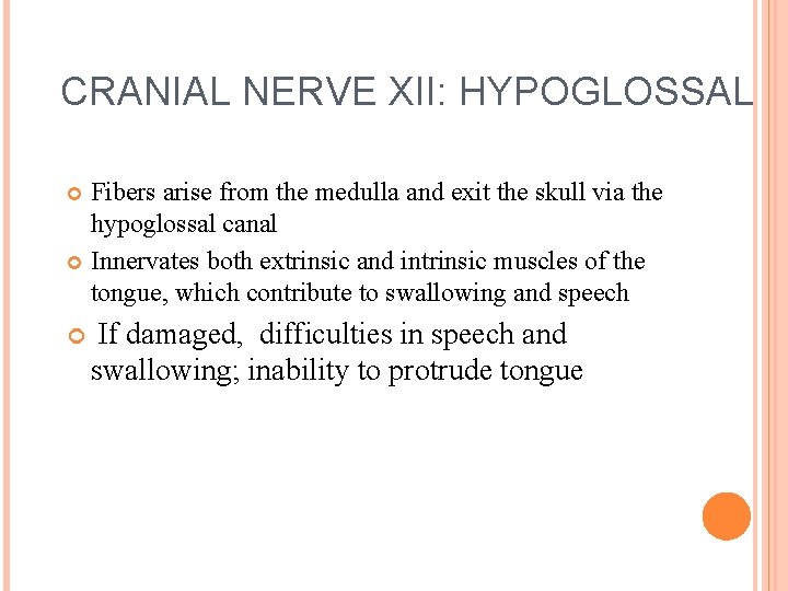 CRANIAL NERVE XII: HYPOGLOSSAL Fibers arise from the medulla and exit the skull via