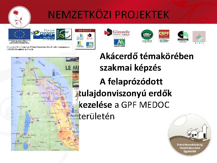 NEMZETKÖZI PROJEKTEK Akácerdő témakörében szakmai képzés A felaprózódott tulajdonviszonyú erdők kezelése a GPF MEDOC