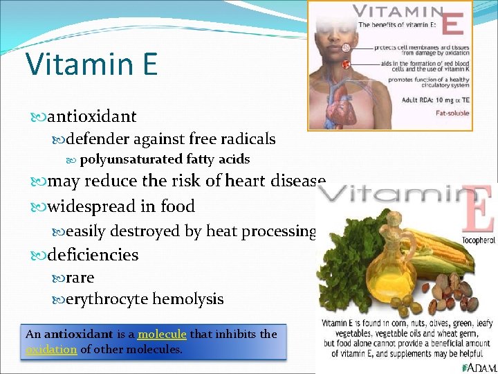 Vitamin E antioxidant defender against free radicals polyunsaturated fatty acids may reduce the risk