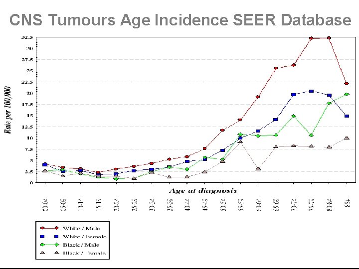 CNS Tumours Age Incidence SEER Database 