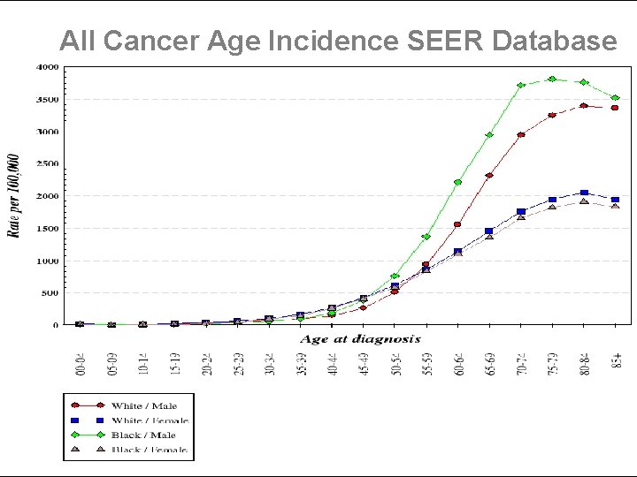 All Cancer Age Incidence SEER Database 