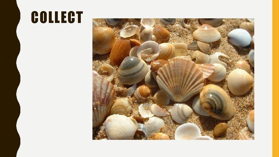 COLLECT 