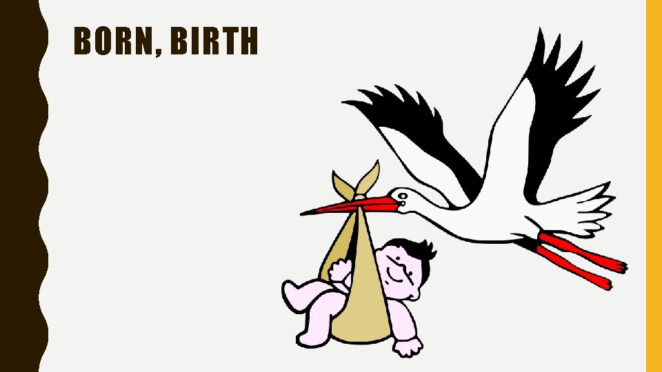 BORN, BIRTH 
