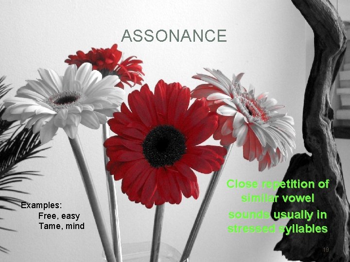 ASSONANCE Examples: Free, easy Tame, mind Close repetition of similar vowel sounds usually in