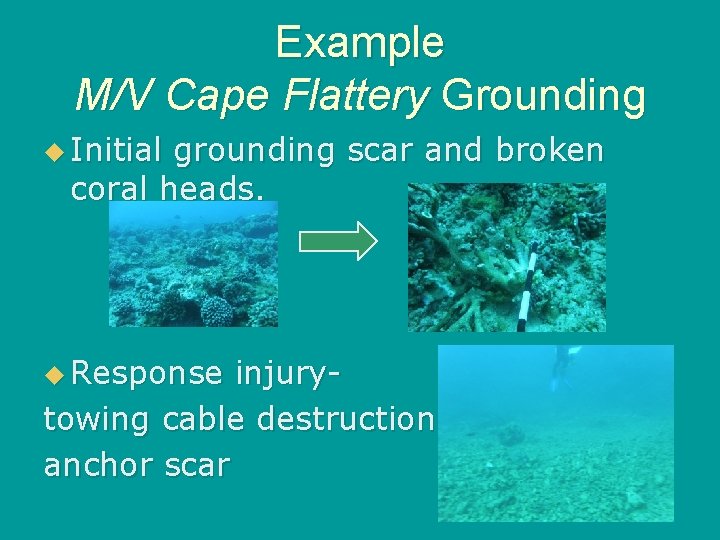 Example M/V Cape Flattery Grounding u Initial grounding scar and broken coral heads. u