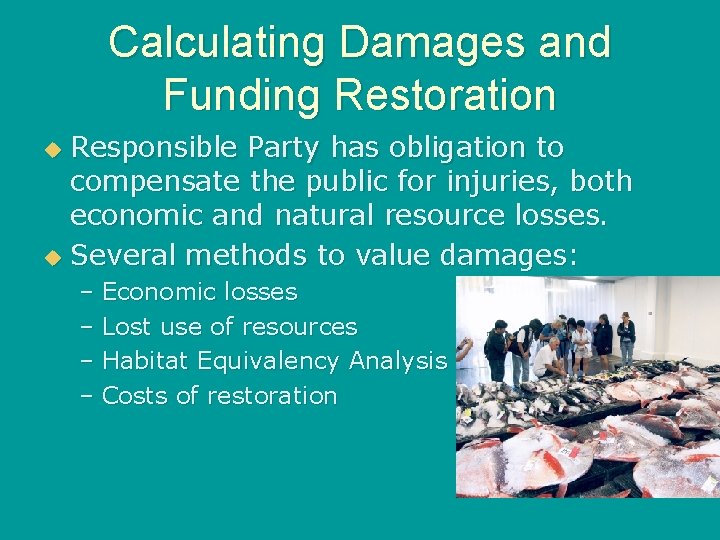 Calculating Damages and Funding Restoration Responsible Party has obligation to compensate the public for