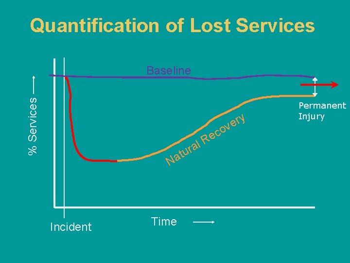Quantification of Lost Services % Services Baseline ry e ov a r u t