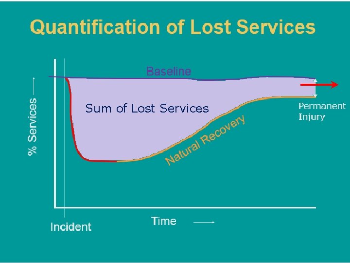 Sum of Lost Services 