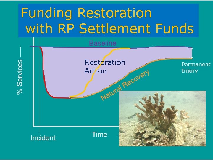 Funding Restoration with RP Settlement Funds Restoration Action 