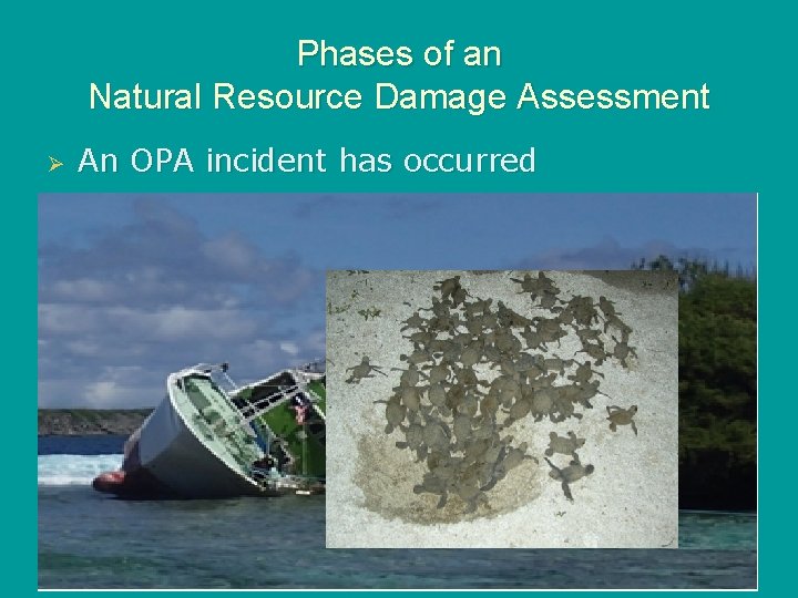 Phases of an Natural Resource Damage Assessment Ø An OPA incident has occurred u
