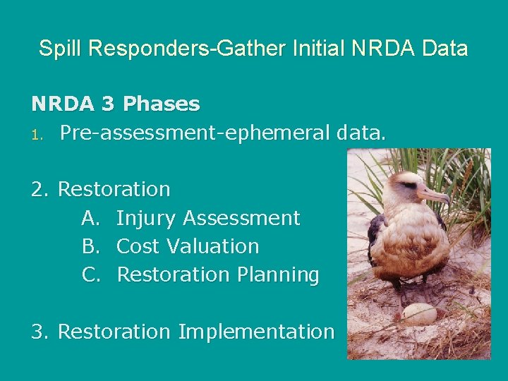 Spill Responders-Gather Initial NRDA Data NRDA 3 Phases 1. Pre-assessment-ephemeral data. 2. Restoration A.