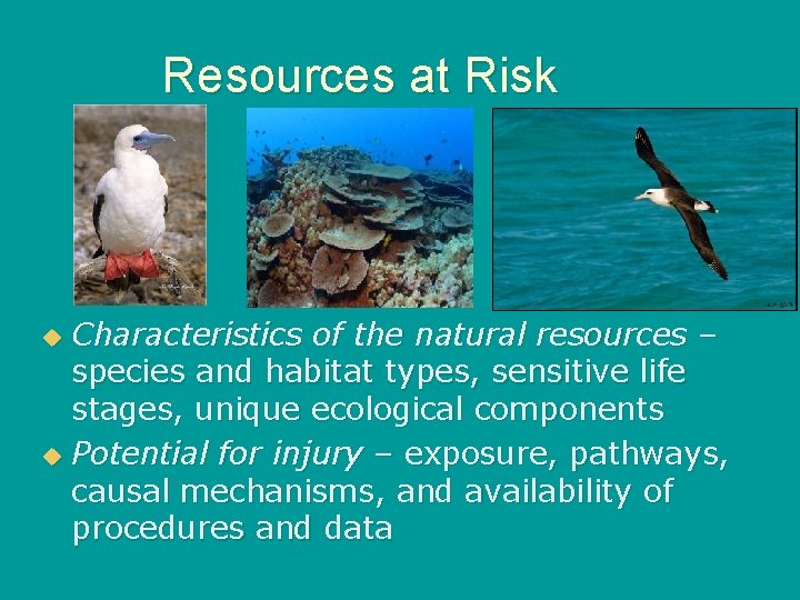 Resources at Risk Characteristics of the natural resources – species and habitat types, sensitive