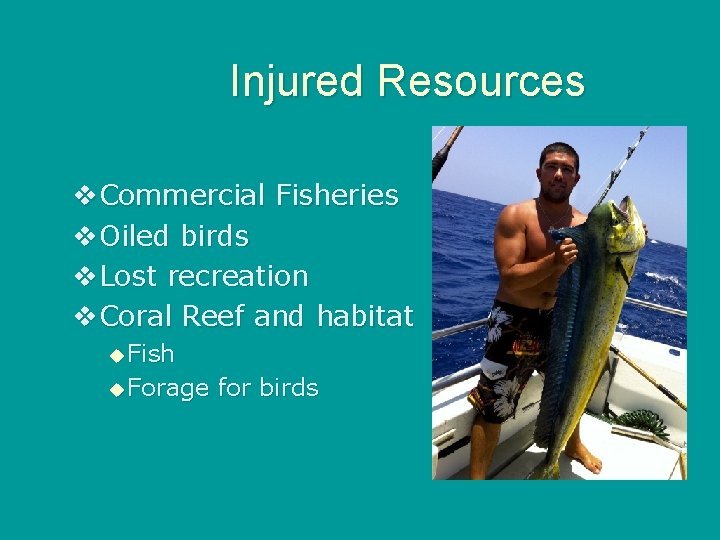 Injured Resources v. Commercial Fisheries v. Oiled birds v. Lost recreation v. Coral Reef