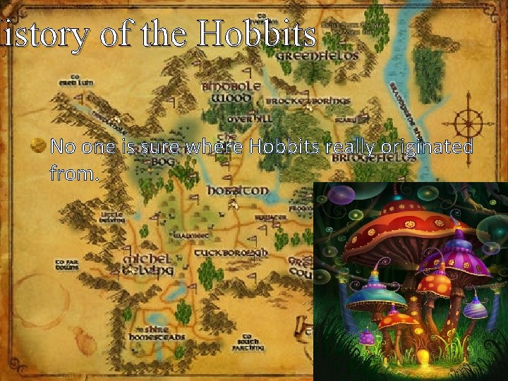 History of the Hobbits No one is sure where Hobbits really originated from. 