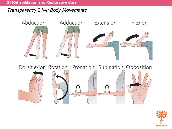 21 Rehabilitation and Restorative Care Transparency 21 -4: Body Movements 