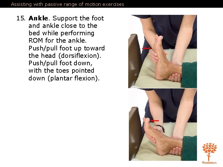 Assisting with passive range of motion exercises 15. Ankle. Support the foot and ankle