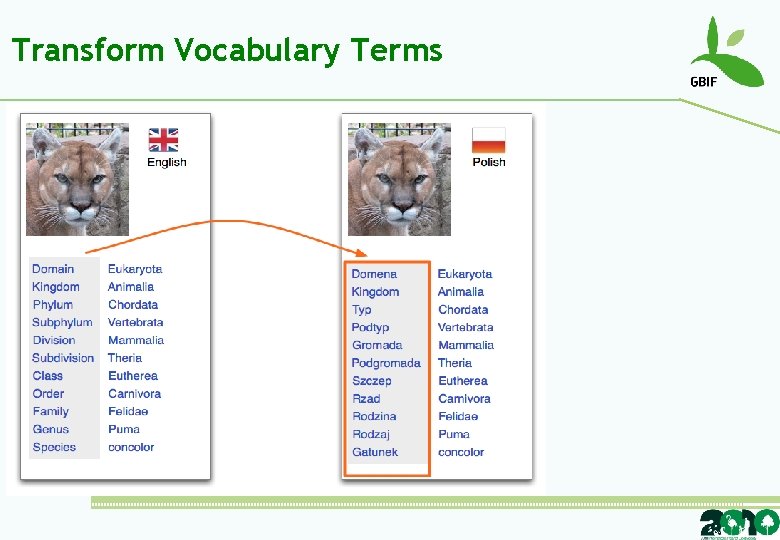 Transform Vocabulary Terms 