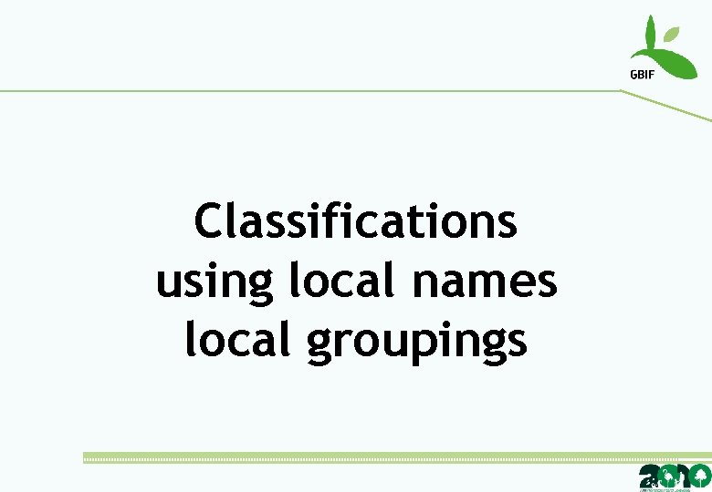 Classifications using local names local groupings 