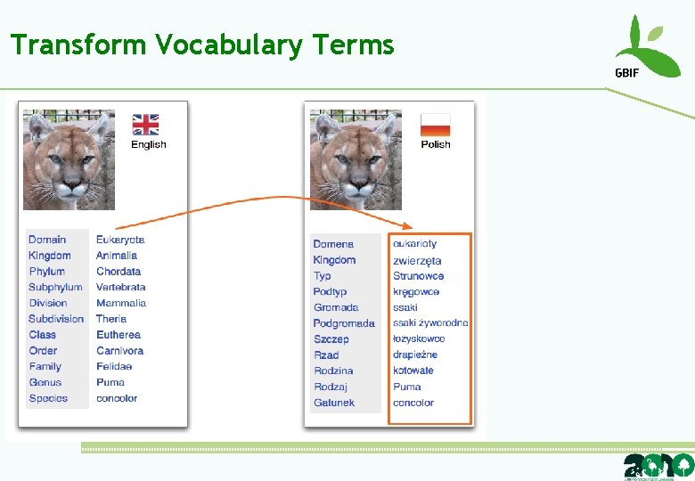 Transform Vocabulary Terms 