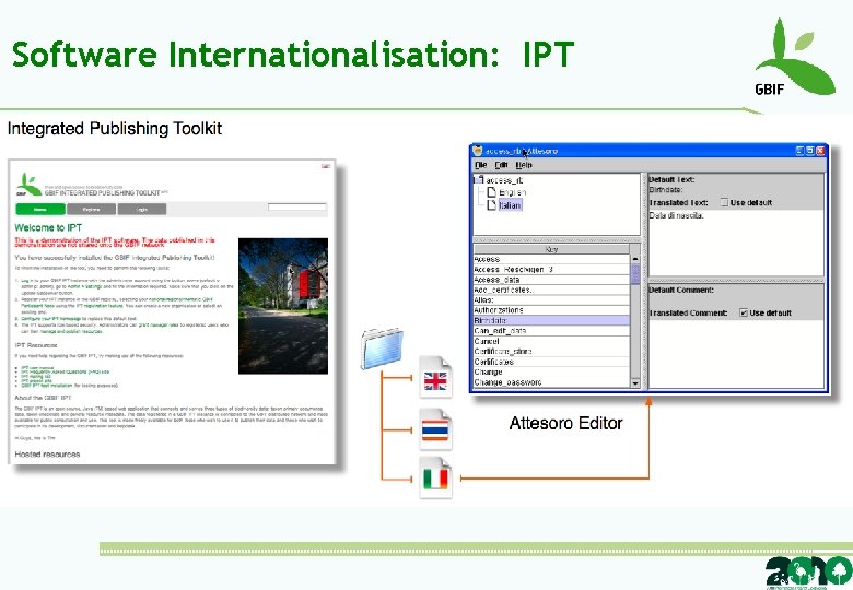 Software Internationalisation: IPT 