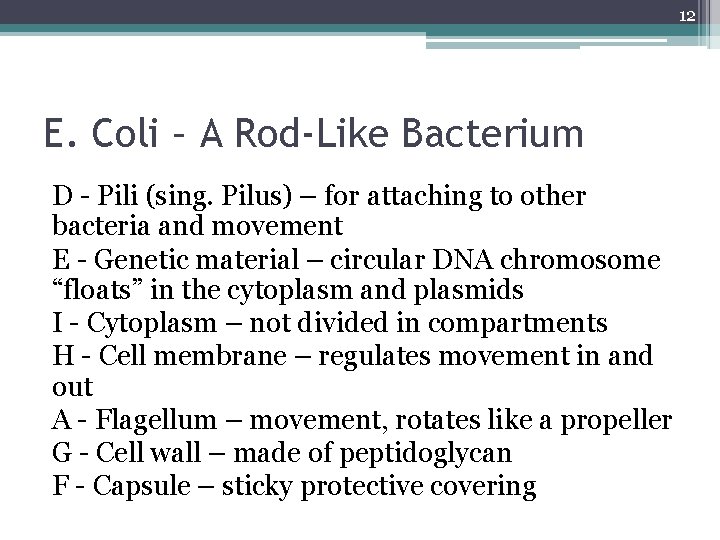 12 E. Coli – A Rod-Like Bacterium D - Pili (sing. Pilus) – for