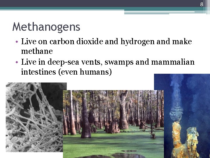 8 Methanogens • Live on carbon dioxide and hydrogen and make methane • Live