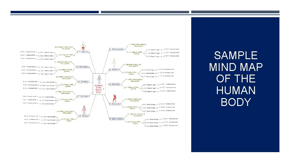 SAMPLE MIND MAP OF THE HUMAN BODY 