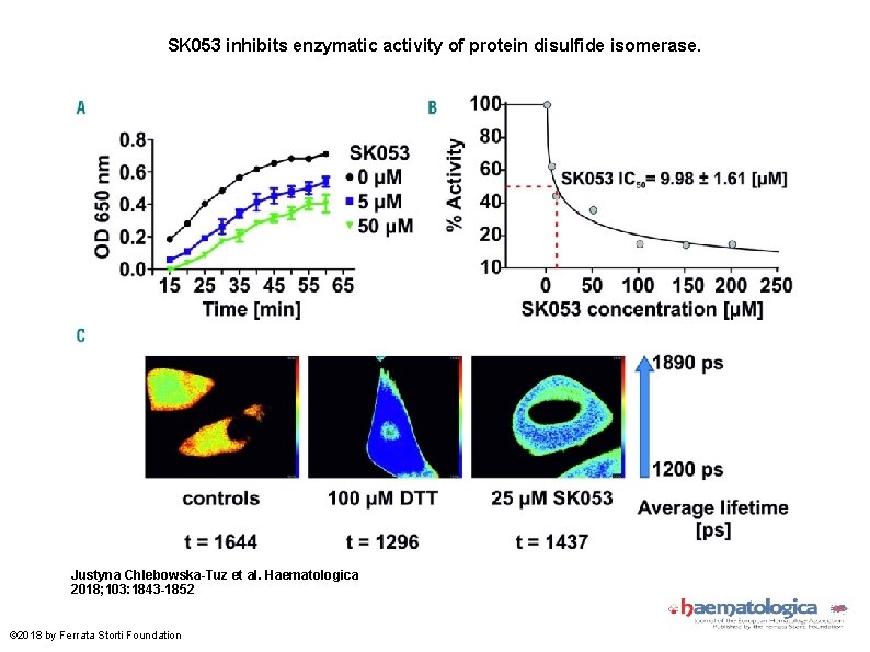 SK 053 inhibits enzymatic activity of protein disulfide isomerase. Justyna Chlebowska-Tuz et al. Haematologica