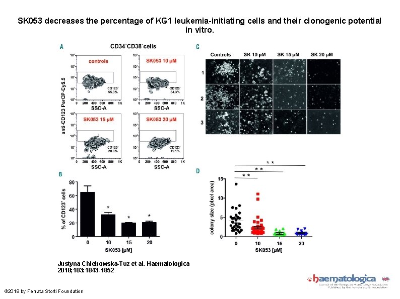 SK 053 decreases the percentage of KG 1 leukemia-initiating cells and their clonogenic potential