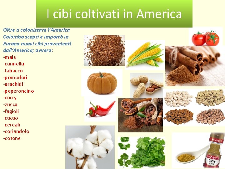 I cibi coltivati in America Oltre a colonizzare l’America Colombo scoprì e importò in