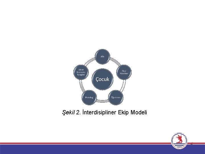Şekil 2. İnterdisipliner Ekip Modeli 4 