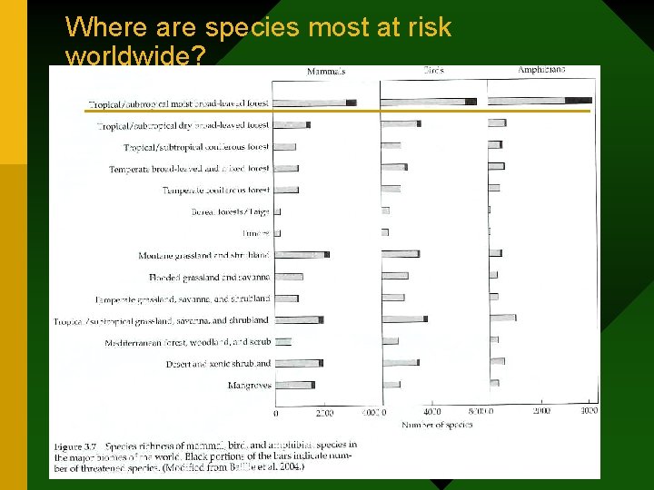 Where are species most at risk worldwide? 
