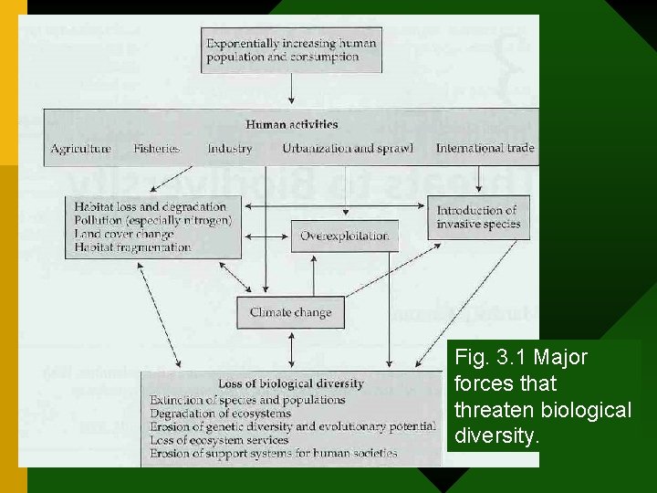 Fig. 3. 1 Major forces that threaten biological diversity. 
