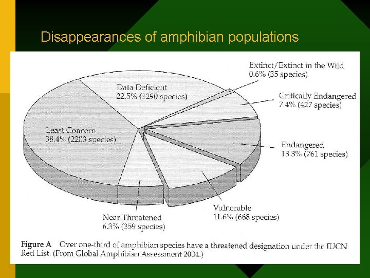 Disappearances of amphibian populations 